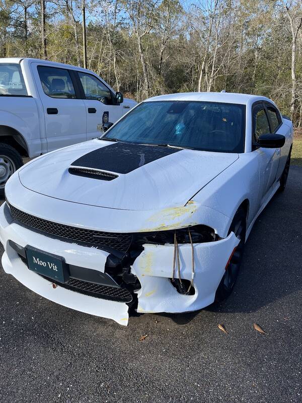 White Dodge Charger with the passenger-side front bumper torn away and the fender pushed in